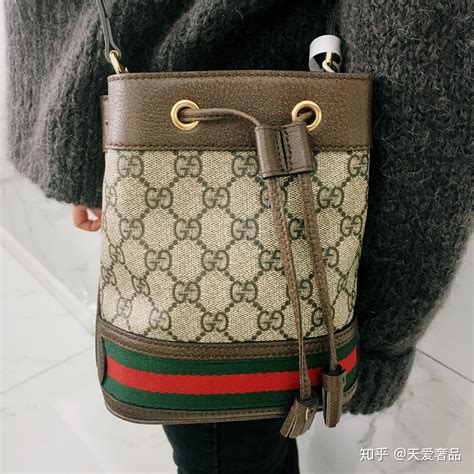 gucci ophidia mini 水桶 包